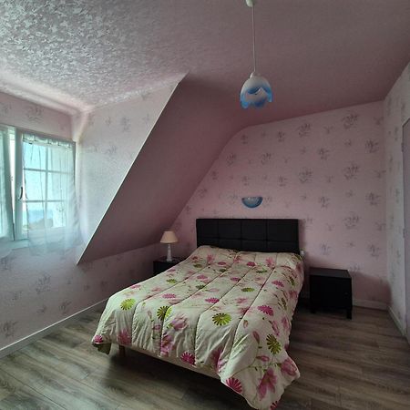 Holiday Home Sea View, Plouhinec Plouhinec  المظهر الخارجي الصورة